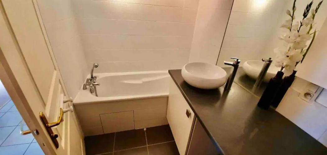 Tichnich Apartement - 2 bedrooms Annemasse Exterior foto